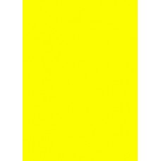 Prijskaart fluor geel 12x16cm 100st Tfr121616K