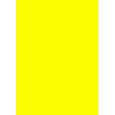 Prijskaart fluor geel 4x6cm 100st Td21330406