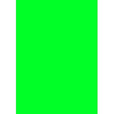 Prijskaart fluor groen 12x16cm 100st Tfr121617K