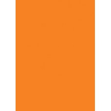Prijskaart fluor oranje 16x24cm 100st Tfr162415K