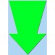 Pijl fluor groen 15cm 50st Pijl fluor groen 15cm 50st